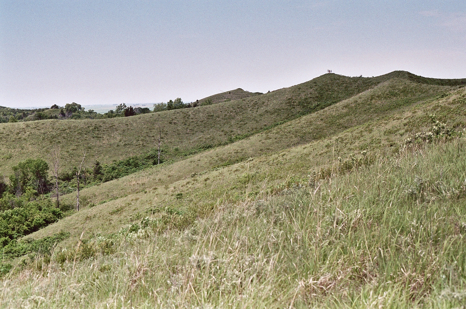 Explore Iowa: Loess Hills - Iowa Natural Heritage Foundation